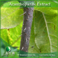 Swertia plant extract
