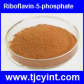 Riboflavin 5 phosphate