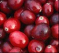 European cranberry extract 25% Anthocyanin