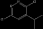 3,6-dichloro-4-isopropylpyridazine