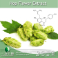 Hop Flower Extract