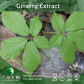 ginsenoside from ginseng root (panax*quinquefoliu