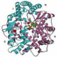 Angiotensin