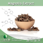 Magnolia extract