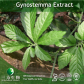 Gynostemma extract