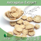 Astragalus Membranaceus Extract