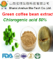 Green coffee bean Extract