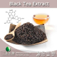 China Black Tea Extract