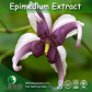 China Epimedium Extract