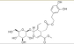 China Olive Leaf Extract