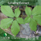 China Ginseng Leaf Extract