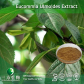 Eucommia leaves extract