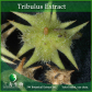 Tribulus Extract