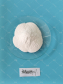 Zinc Arginate