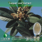 Loquat leaf Extract