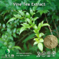 Vine Tea Extract
