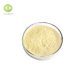 Ginkgo biloba Extract