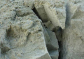 TY bore mud and civil engineering bentonite