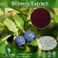 Chinese Bilberry Extract