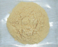 Panax Notoginseng P.E