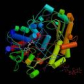 alcohol Oxidase