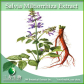 China Salvia miltiorrhiza Extract