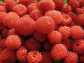 Raspberry ketones