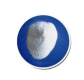 Soda Ash Dense Powder