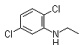 2,5-Ddichloro-N-ethylbenzenamine