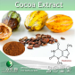 China Cocoa Extract