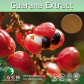 China Guarana Extract